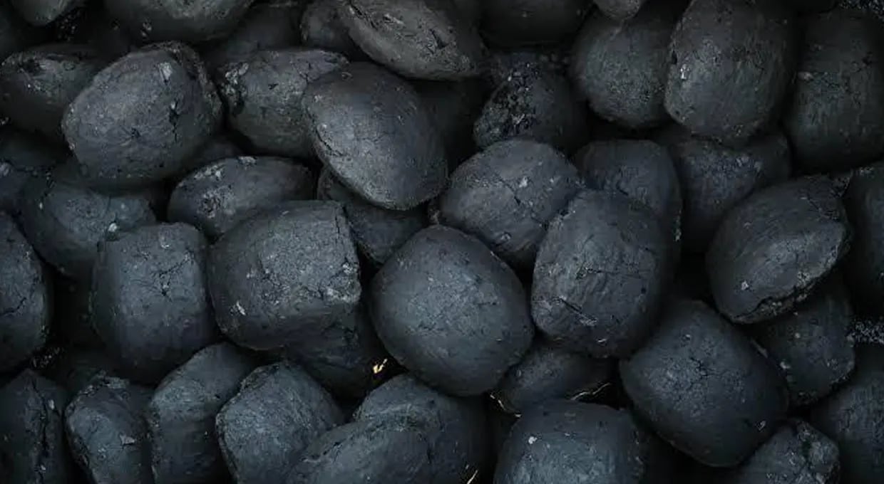 Viñal charcoal briquettes manufactured in Paraguay